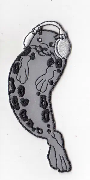 Kuulokenorppa